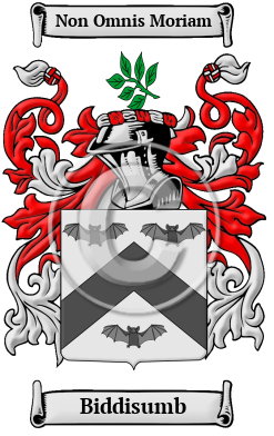 Biddisumb Family Crest/Coat of Arms