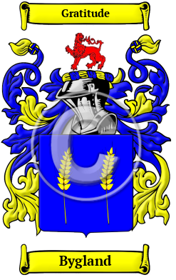 Bygland Family Crest/Coat of Arms