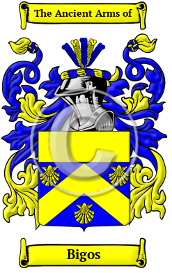 Bigos Family Crest/Coat of Arms