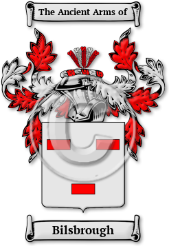 Bilsbrough Family Crest Download (jpg) Legacy Series - 150 DPI