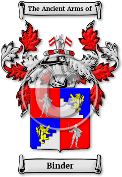 Binder Family Crest Download (jpg) Legacy Series - 150 DPI