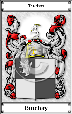 Binchay Family Crest Download (JPG) Book Plated - 300 DPI