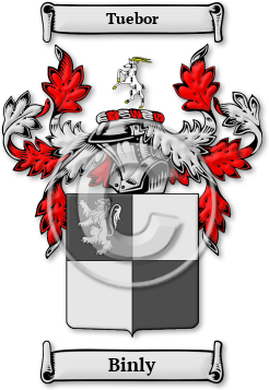 Binly Family Crest Download (jpg) Legacy Series - 150 DPI