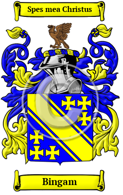 Bingam Family Crest/Coat of Arms