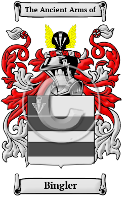 Bingler Family Crest/Coat of Arms