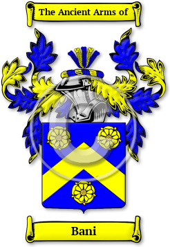 Bani Family Crest Download (JPG) Legacy Series - 600 DPI