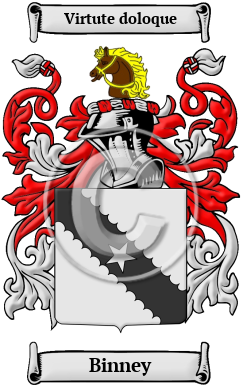 Binney Family Crest/Coat of Arms