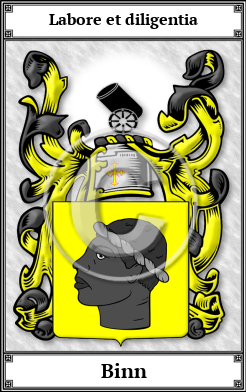 Binn Family Crest Download (JPG)  Book Plated - 150 DPI