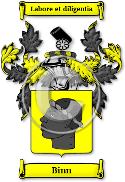 Binn Family Crest Download (jpg) Legacy Series - 150 DPI