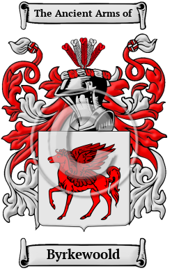 Byrkewoold Family Crest/Coat of Arms