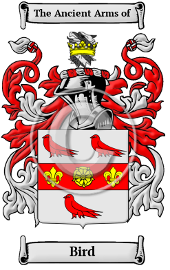 Coat of Arms Framed - Gold | HouseOfNames.com