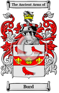 Burd Family Crest/Coat of Arms