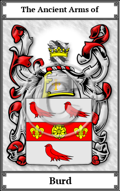 Burd Family Crest Download (JPG)  Book Plated - 150 DPI
