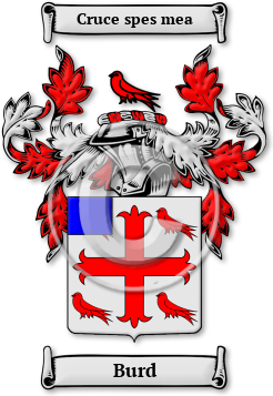 Burd Family Crest Download (JPG) Legacy Series - 600 DPI