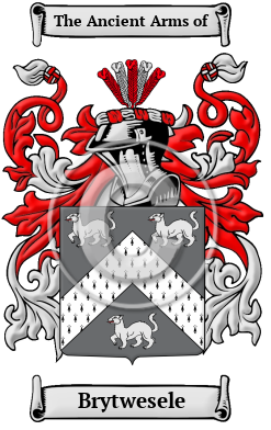 Brytwesele Family Crest/Coat of Arms