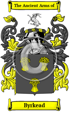 Byrkead Family Crest/Coat of Arms