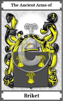 Briket Family Crest Download (JPG)  Book Plated - 150 DPI