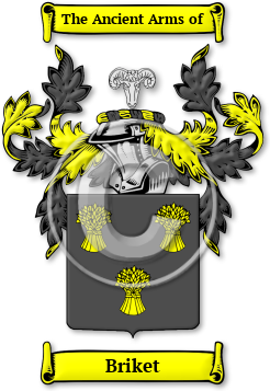 Briket Family Crest Download (jpg) Legacy Series - 150 DPI