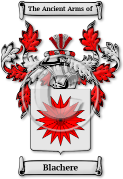 Blachere Family Crest Download (jpg) Legacy Series - 150 DPI
