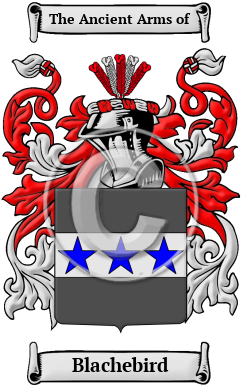 Blachebird Family Crest/Coat of Arms