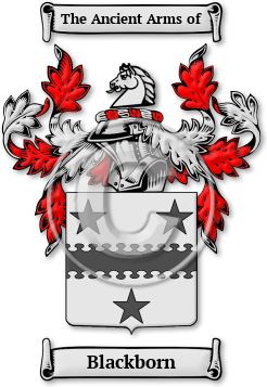 Blackborn Family Crest Download (jpg) Legacy Series - 150 DPI