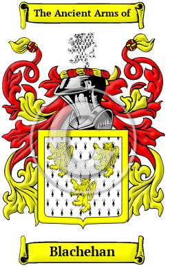 Blachehan Family Crest/Coat of Arms