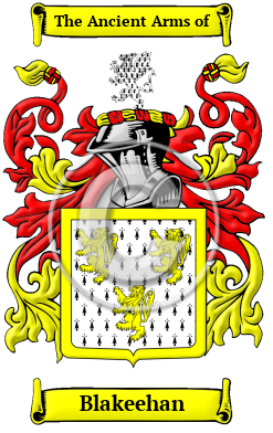 Blakeehan Family Crest/Coat of Arms