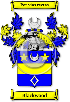Blackwood Family Crest Download (jpg) Legacy Series - 150 DPI