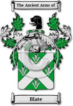 Blate Family Crest Download (JPG) Legacy Series - 600 DPI