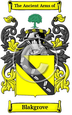 Blakgrove Family Crest/Coat of Arms