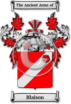 Blaison Family Crest Download (jpg) Legacy Series - 150 DPI
