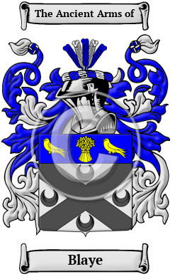 Blaye Family Crest/Coat of Arms