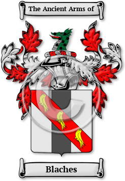 Blaches Family Crest Download (jpg) Legacy Series - 150 DPI