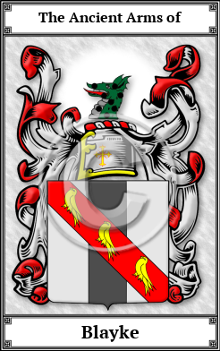 Blayke Family Crest Download (JPG)  Book Plated - 150 DPI