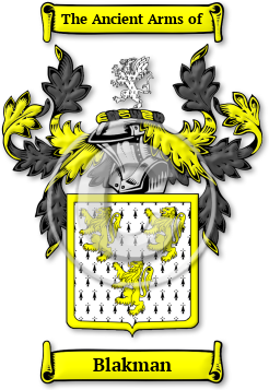 Blakman Family Crest Download (jpg) Legacy Series - 150 DPI