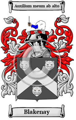 Blakenay Family Crest/Coat of Arms