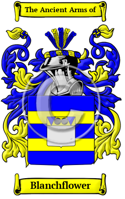 Blanchflower Family Crest/Coat of Arms