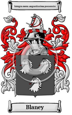 Blaney Family Crest/Coat of Arms