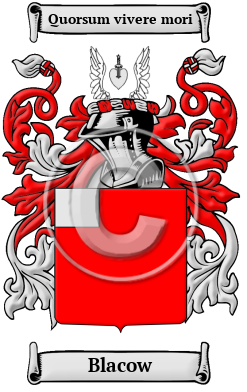 Blacow Family Crest/Coat of Arms