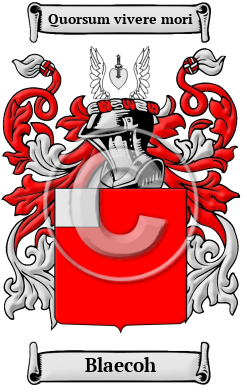 Blaecoh Family Crest/Coat of Arms