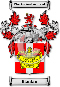 Blankin Family Crest Download (jpg) Legacy Series - 150 DPI