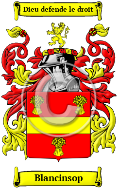 Blancinsop Family Crest/Coat of Arms