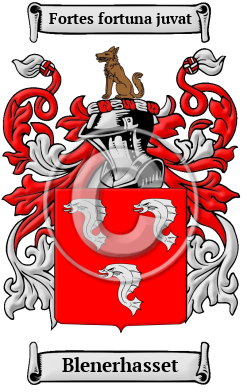 Blenerhasset Family Crest/Coat of Arms