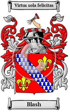 Blash Family Crest/Coat of Arms