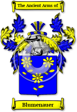 Blumenauer Family Crest Download (jpg) Legacy Series - 150 DPI