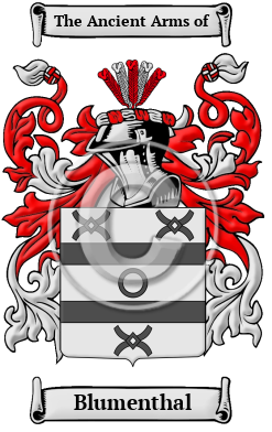 Blumenthal Family Crest/Coat of Arms