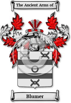 Blumer Family Crest Download (JPG) Legacy Series - 600 DPI