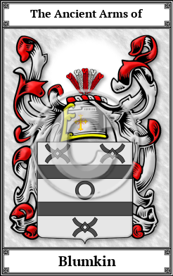 Blumkin Family Crest Download (JPG)  Book Plated - 150 DPI