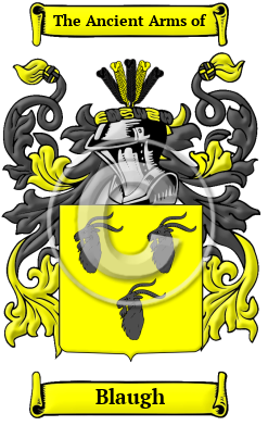 Blaugh Family Crest/Coat of Arms