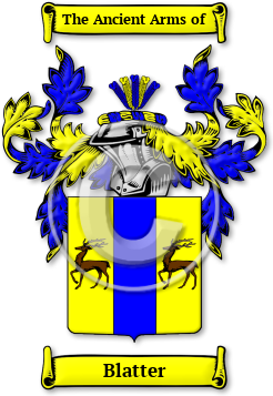 Blatter Family Crest Download (jpg) Legacy Series - 150 DPI